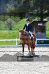 ref. photo 3550146