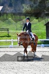 ref. photo 3550147
