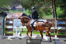 ref. photo 3550148