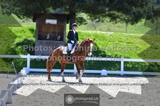 ref. photo 3550152