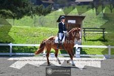 ref. photo 3550153