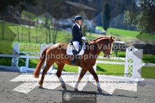 ref. photo 3550154