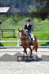 ref. photo 3550157