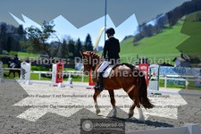 ref. photo 3550158