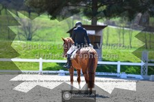 ref. photo 3550159