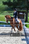 ref. photo 3550168