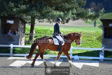 ref. photo 3550169