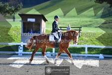 ref. photo 3550170