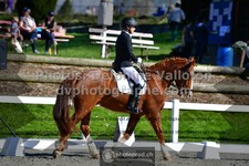 ref. photo 3550172