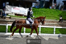 ref. photo 3550173