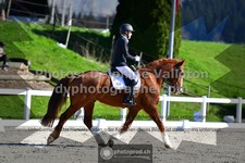 ref. photo 3550174