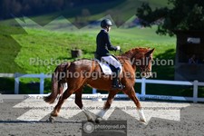 ref. photo 3550175