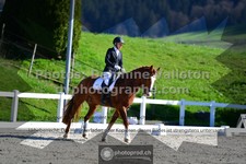 ref. photo 3550178