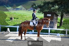 ref. photo 3550179