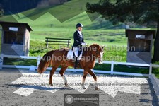 ref. photo 3550180