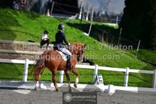 ref. photo 3550182