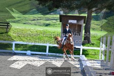 ref. photo 3550183