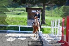 ref. photo 3550184