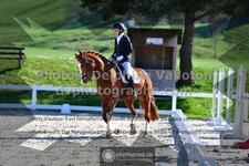 ref. photo 3550185