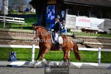 ref. photo 3550186