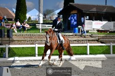 ref. photo 3550187