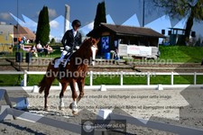 ref. photo 3550188