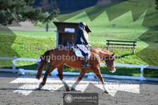 ref. photo 3550191