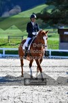 ref. photo 3550194