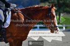 ref. photo 3550195