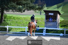 ref. photo 3550196