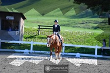 ref. photo 3550198