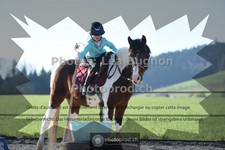 ref. photo 3550212