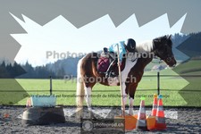 ref. photo 3550214