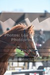 ref. photo 3550234