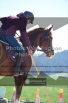ref. photo 3550238