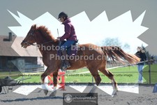ref. photo 3550239