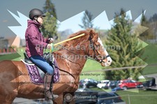 ref. photo 3550241