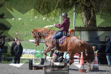 ref. photo 3550243