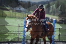 ref. photo 3550246