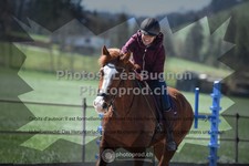 ref. photo 3550247