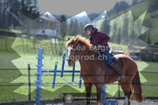 ref. photo 3550251