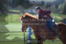 ref. photo 3550252