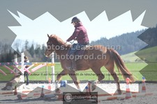 ref. photo 3550257
