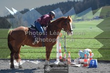 ref. photo 3550260