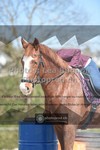 ref. photo 3550261