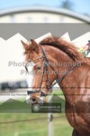 ref. photo 3550262