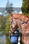 ref. photo 3550263