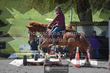 ref. photo 3550264
