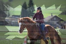 ref. photo 3550266