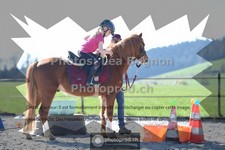 ref. photo 3550279